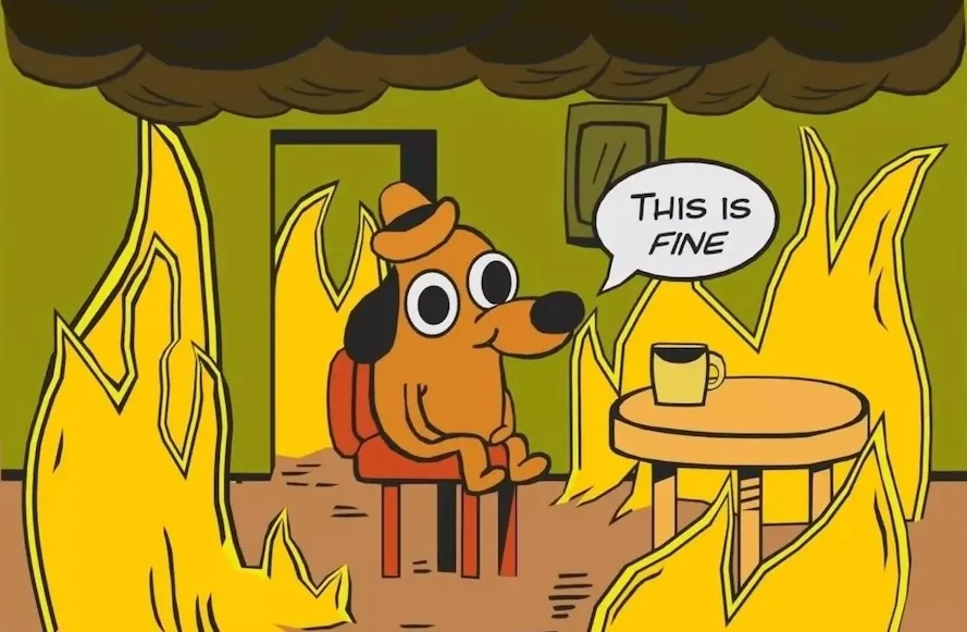 &ldquo;This is fine.&rdquo;