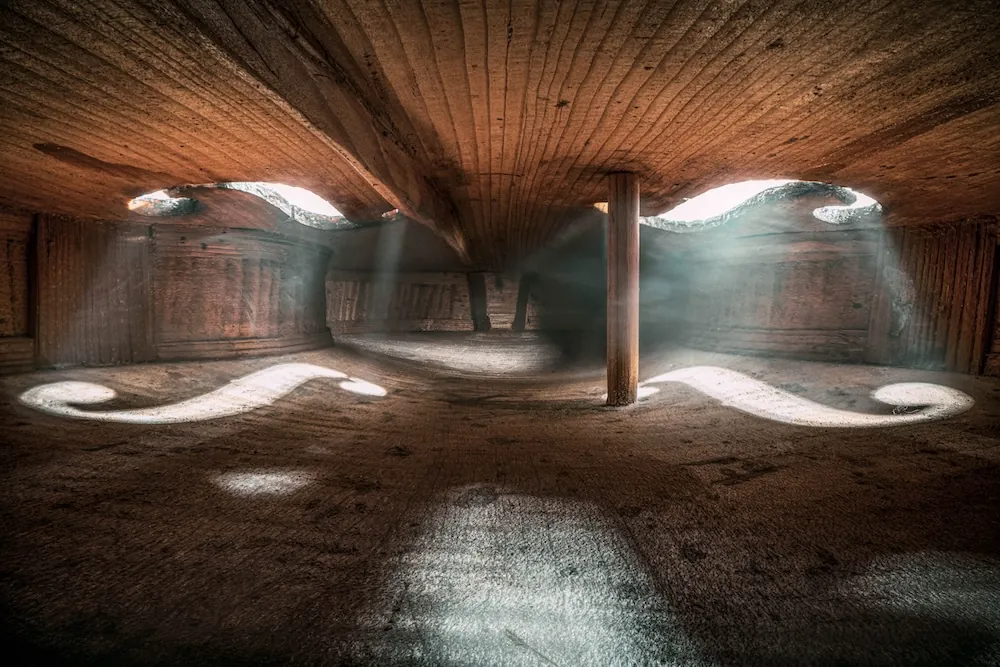 Inside a violin.