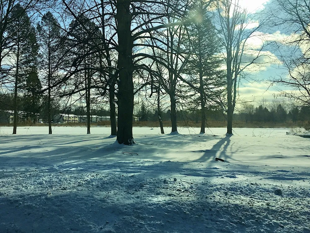 Somewhere in Rome, NY, December 2019